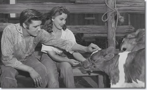Elvis always had a love for animals. Here, he and co-star Debra Paget take a break from filming 'Love Me Tender'