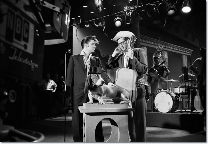Steve Allen, and Elvis discuss in rehearsal how Elvis will sing his song, Hound Dog, to a basset hound on a pedestal wearing a top hat. Allen wanted to avoid the controversy that occurred after Elvis swiveled his hips on 'The Milton Berle Show'. (NBC Television, Hudson Theater, New York City, July 1, 1956).