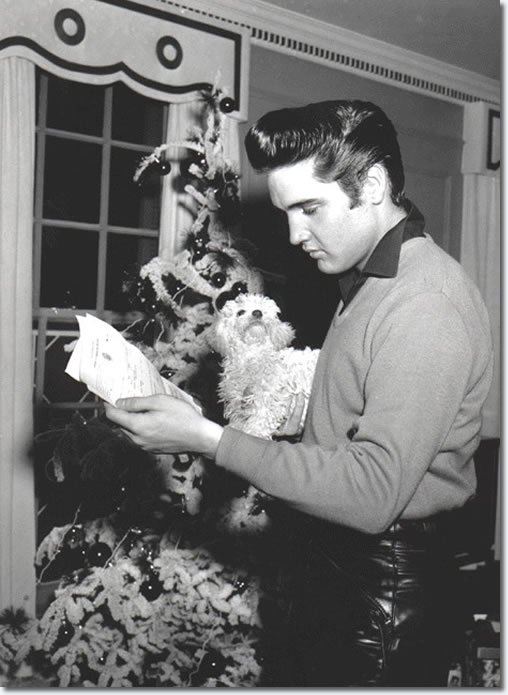 Elvis pictured at Graceland aftter picking up his draft notice. The christmas tree is in the background and It looks to be dark outside.The poodle belonged to Gladys Presley and was named 'Duke' after John Wayne.