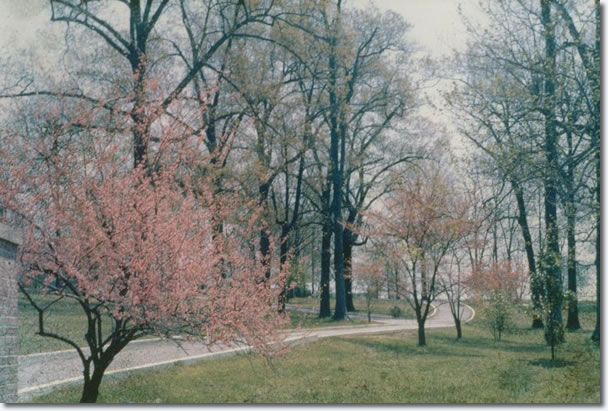 Graceland - April, 1962