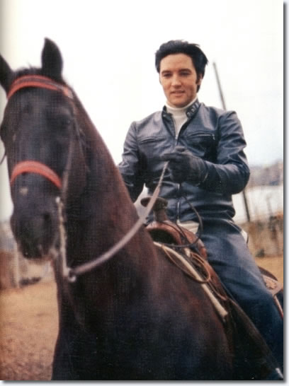 Elvis Presley : Horseback riding at Graceland : February 69, 1968.