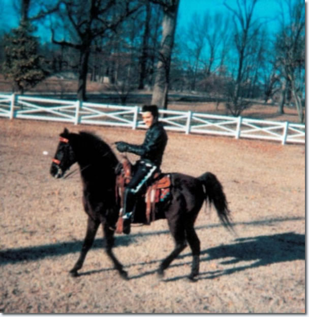 Elvis Presley : Horseback riding at Graceland : February 9, 1968