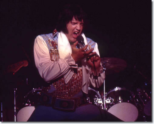 Elvis Presley : Veterans Memorial Coliseum, New Haven, Connecticut. 8:30 p.m July 30, 1976